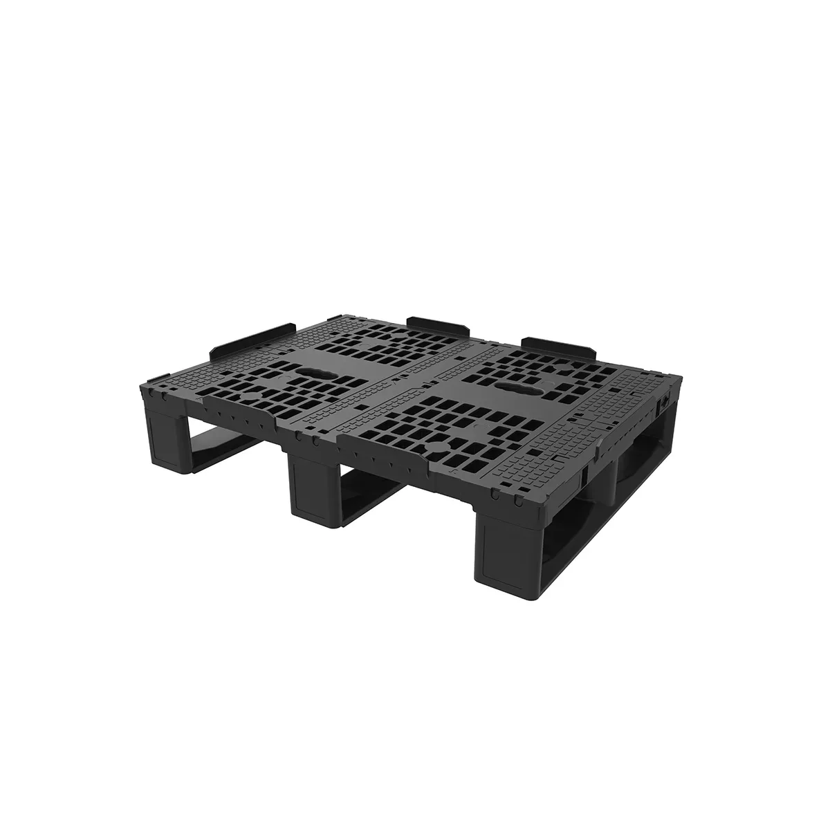 DPP 0806 RT