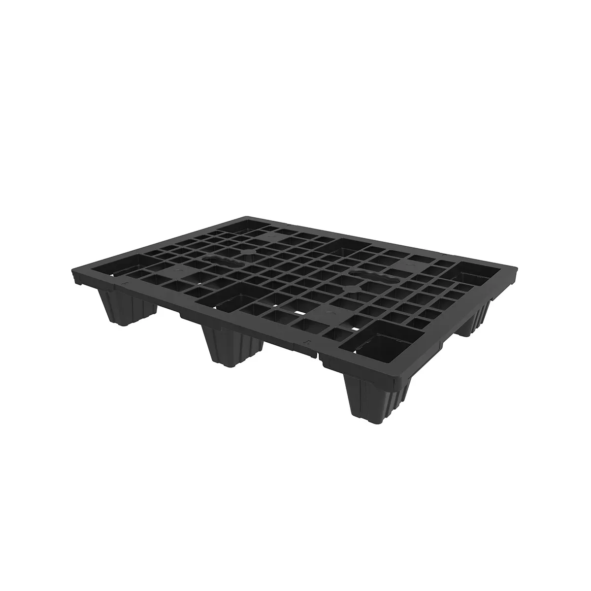 DPP 0806 NL
