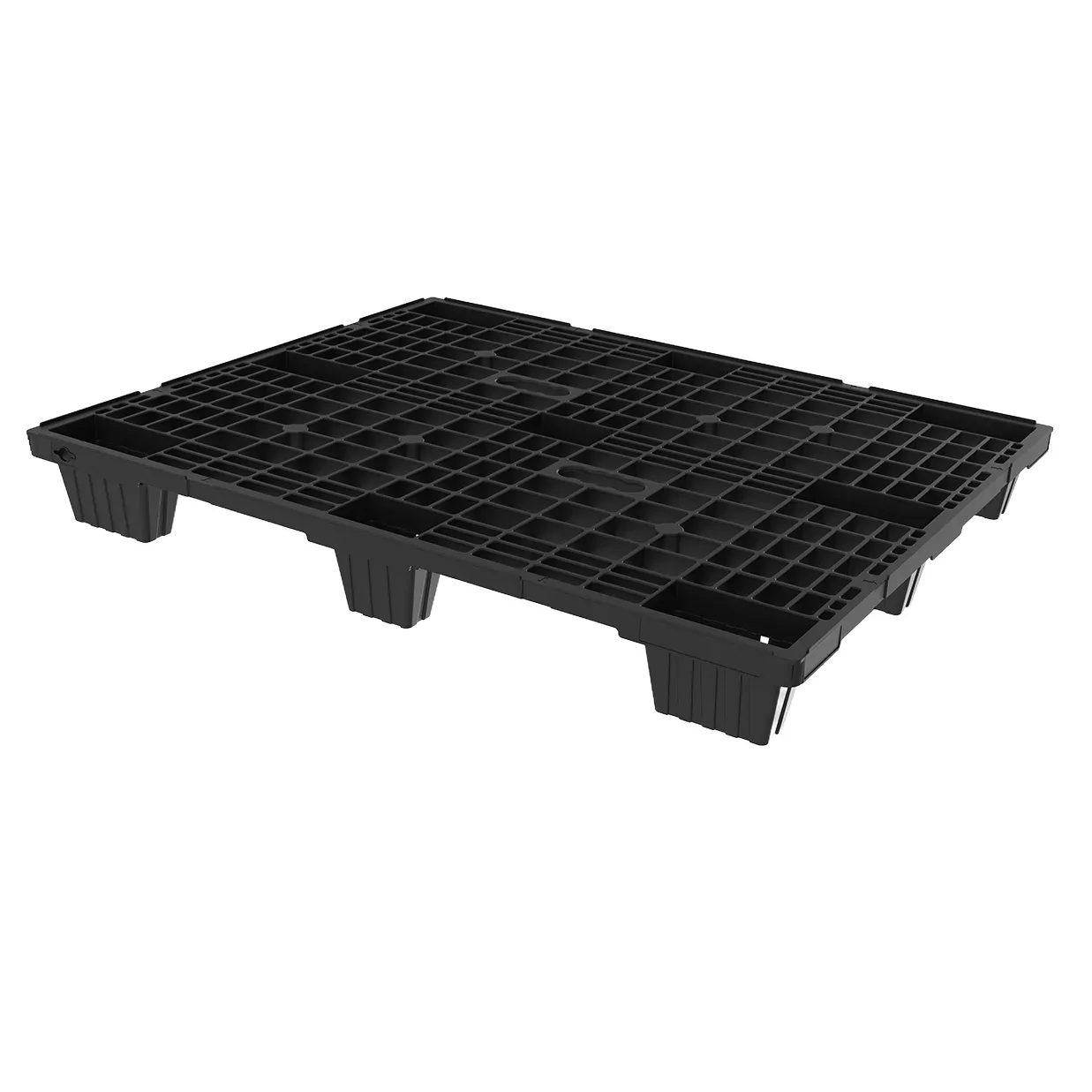 DPP 1210 NS